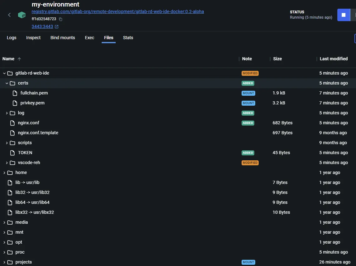 Remote Environment Docker Container File Structure