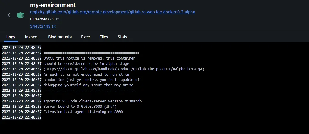 Remote Environment Docker Container Logs